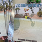 Confusion Magazine